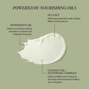 KITSCH Clarifying Tea Tree & Mint Scalp Scrub — ingredient chart showing a swatch of the scrub labelled with peppermint oil, sea salt, and coconut oil plus panthenol complex — Sea salt helps remove product buildup, excess oil, dead skin cells, and visible flakes — choosing a scrub for buildup