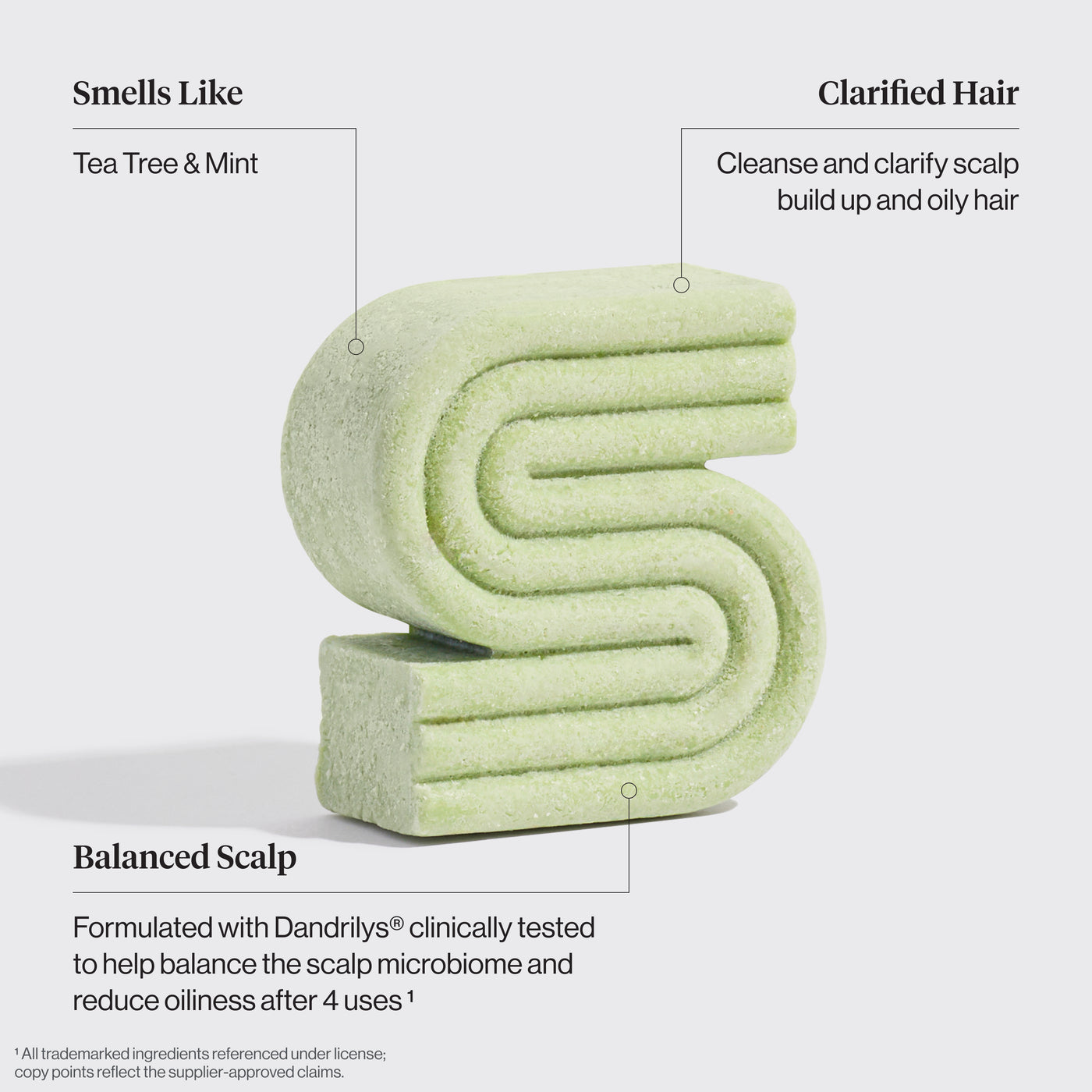 Tea Tree & Mint Clarifying Shampoo Bar