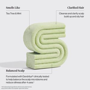 Tea Tree & Mint Clarifying Shampoo Bar