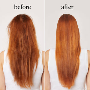 Reparierendes Arganöl Shampoo & Spülung + Pflegespray im Bundle